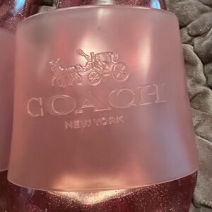 Coach Glittery Pink Transparent Slide